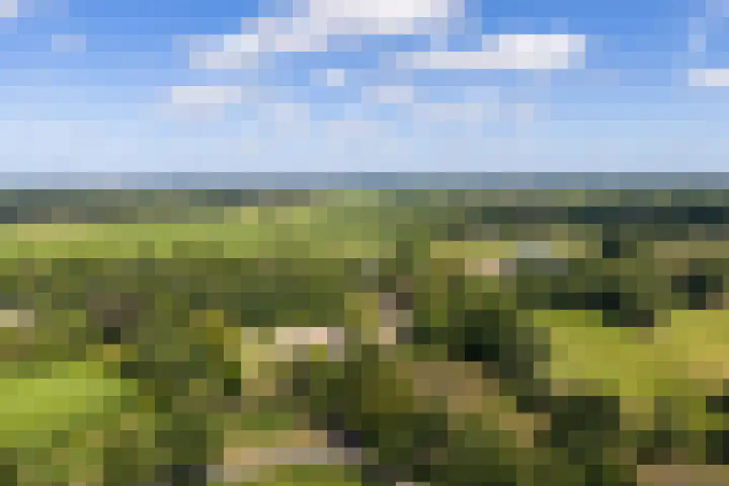 Burchtweg 13 Bunne thumbnail 92