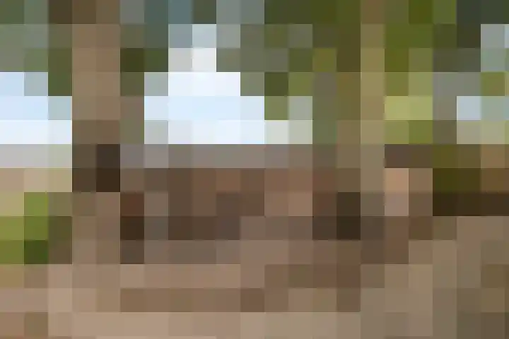 Burchtweg 19 A Luttelgeest thumbnail 10