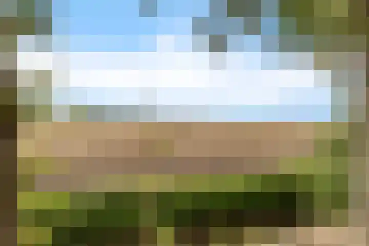 Burchtweg 19 A Luttelgeest thumbnail 12