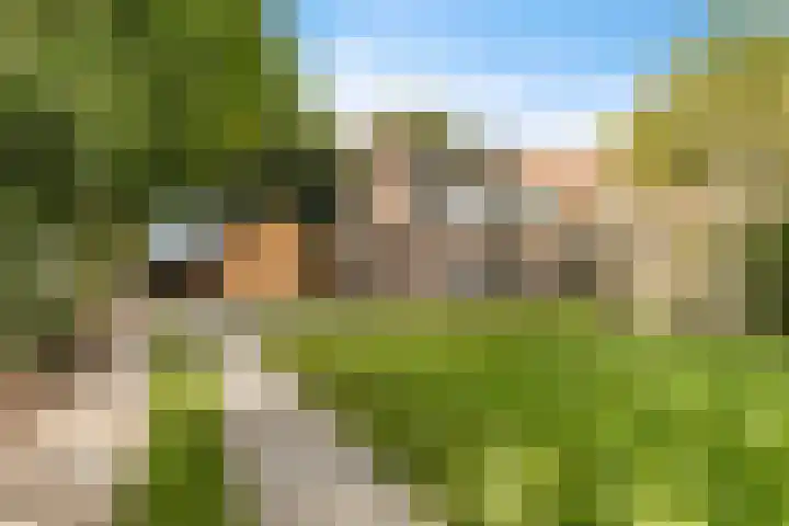 Burchtweg 19 A Luttelgeest thumbnail 14