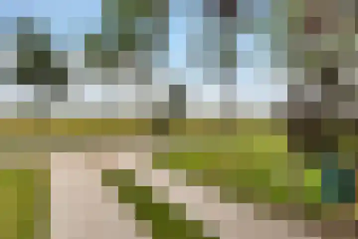Burchtweg 19 A Luttelgeest thumbnail 15