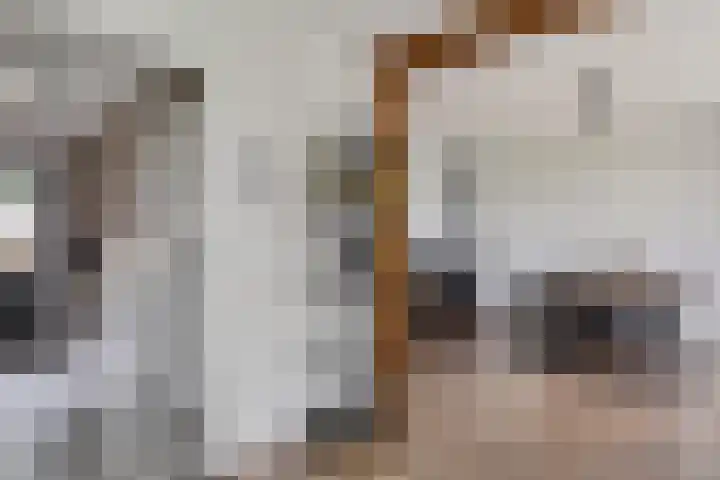 Burchtweg 19 A Luttelgeest thumbnail 19