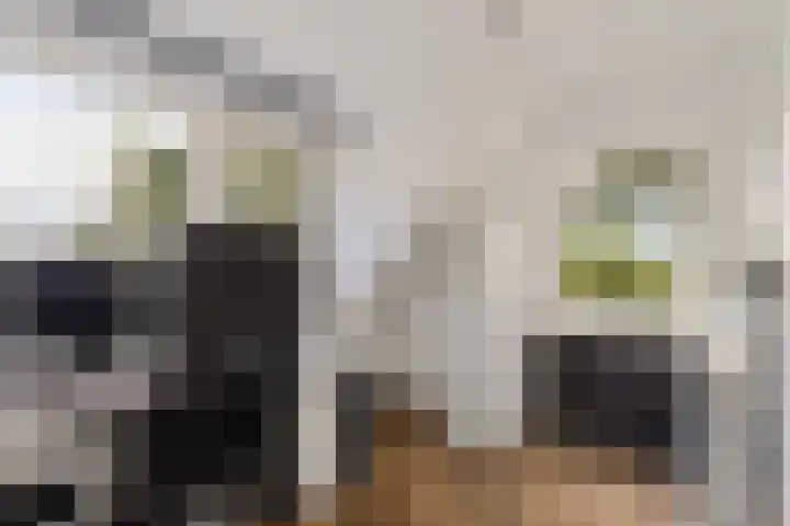 Burchtweg 19 A Luttelgeest thumbnail 30