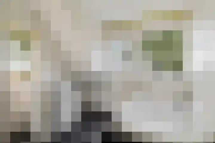 Burchtweg 19 A Luttelgeest thumbnail 32