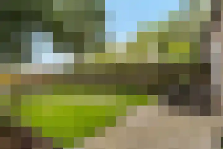 Burchtweg 19 A Luttelgeest thumbnail 34