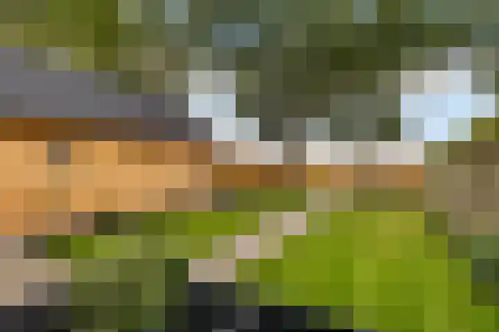 Burchtweg 19 A Luttelgeest thumbnail 37