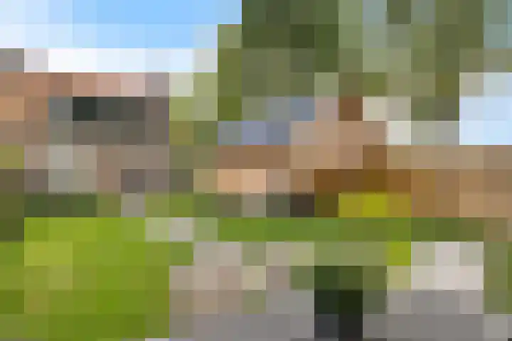 Burchtweg 19 A Luttelgeest thumbnail 39