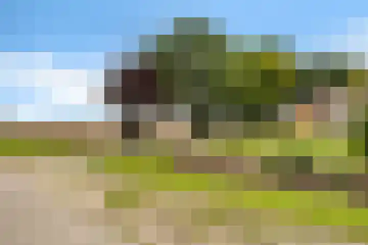 Burchtweg 19 A Luttelgeest thumbnail 4