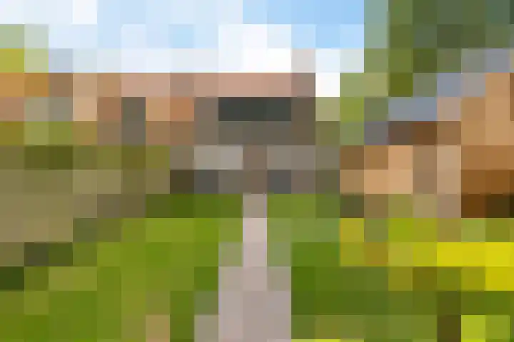 Burchtweg 19 A Luttelgeest thumbnail 40