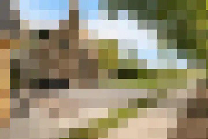 Burchtweg 19 A Luttelgeest thumbnail 41