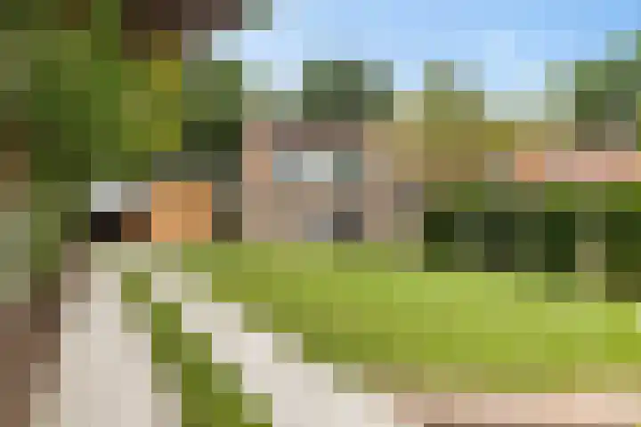 Burchtweg 19 A Luttelgeest thumbnail 5