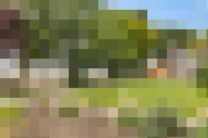 Burchtweg 19 A Luttelgeest thumbnail 6