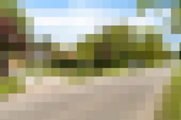 Burchtweg 19 A Luttelgeest thumbnail 7