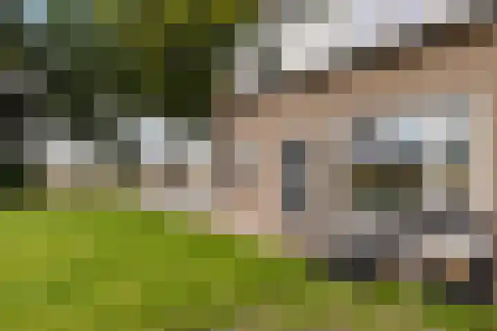 Burchtweg 19 A Luttelgeest thumbnail 8