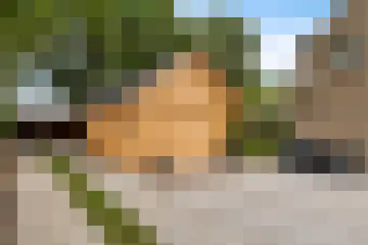 Burchtweg 19 A Luttelgeest thumbnail 9