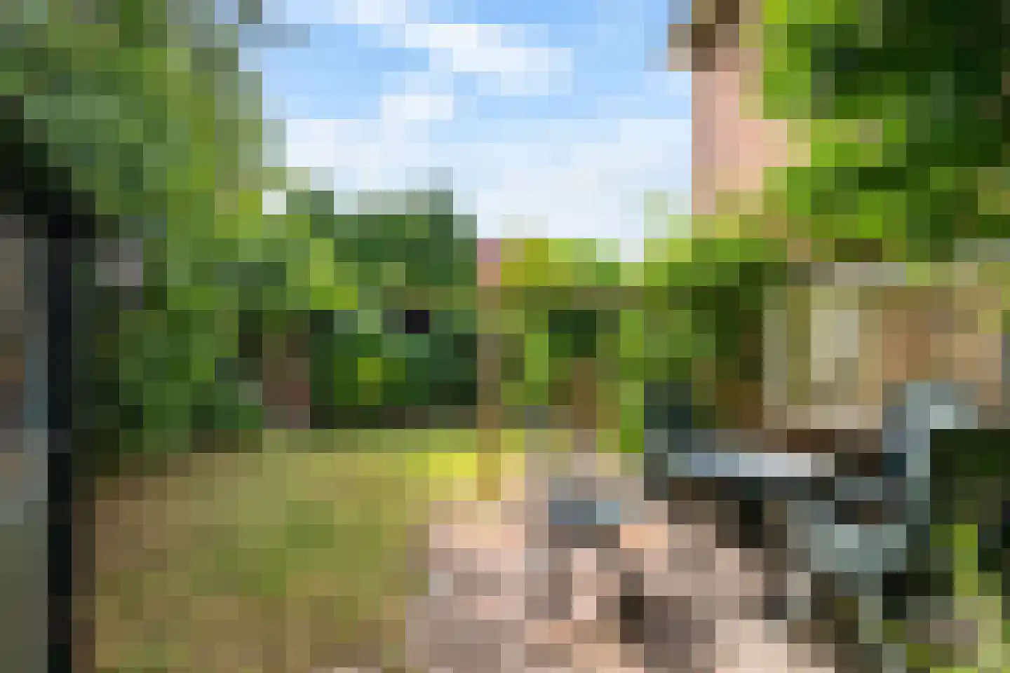 Burchtweg 25 Haren Gn thumbnail 20
