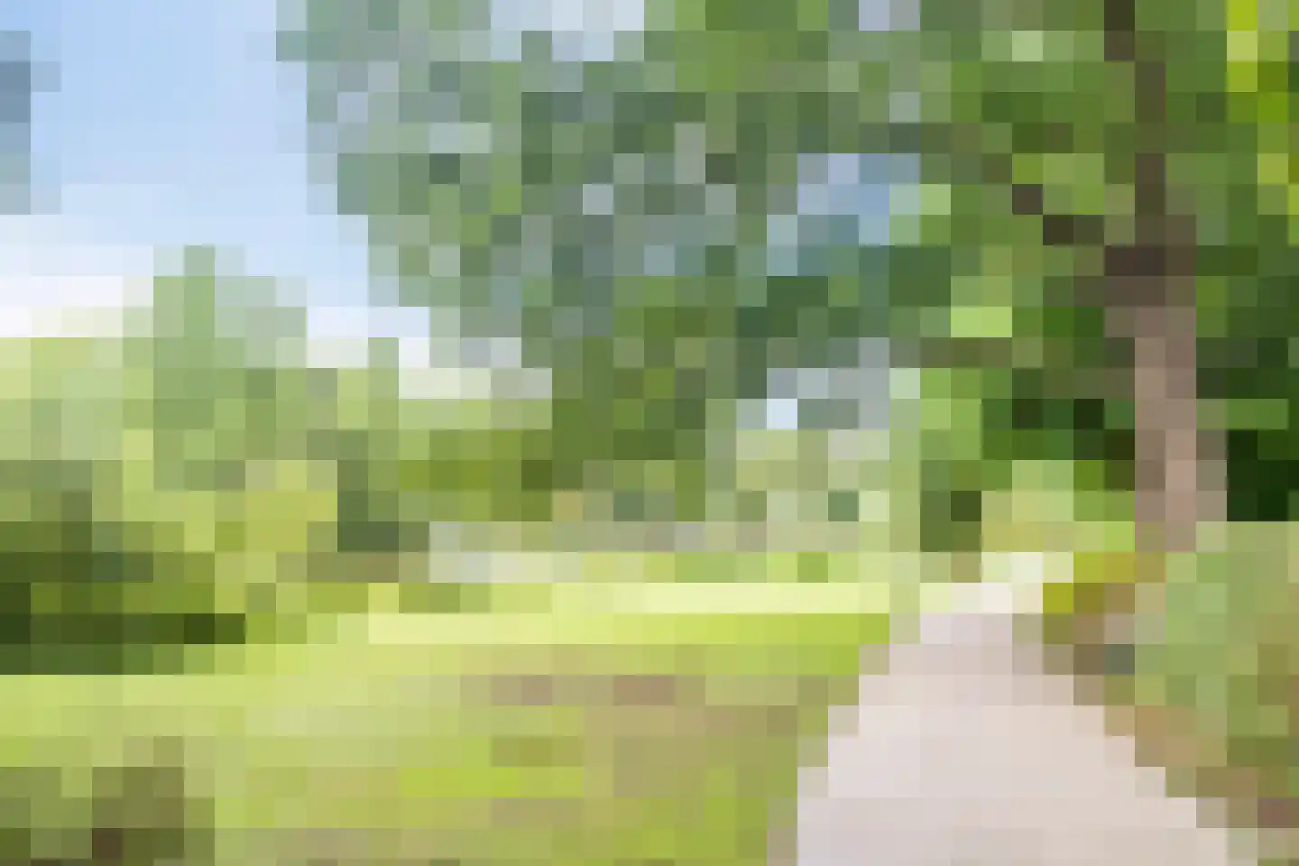 Burchtweg 4 Haren Gn thumbnail 31