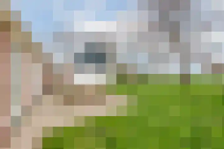 Burchtweg 7 Sint Maarten thumbnail 22