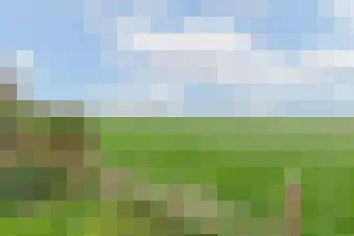 Burchtweg 7 Sint Maarten thumbnail 6