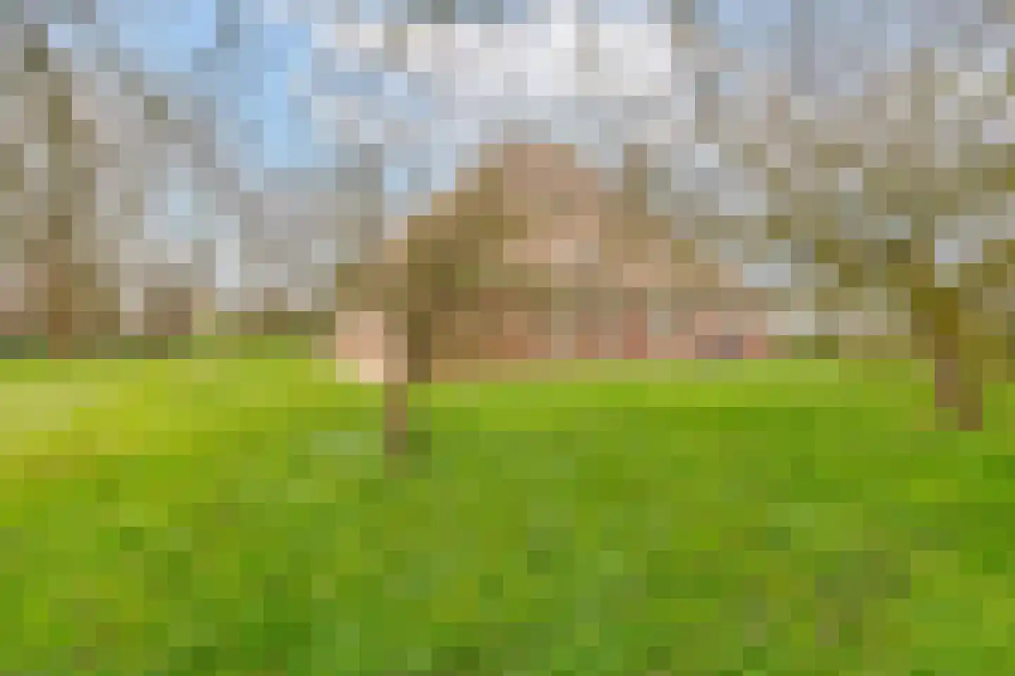 Burchtweg 7 Sint Maarten thumbnail 72