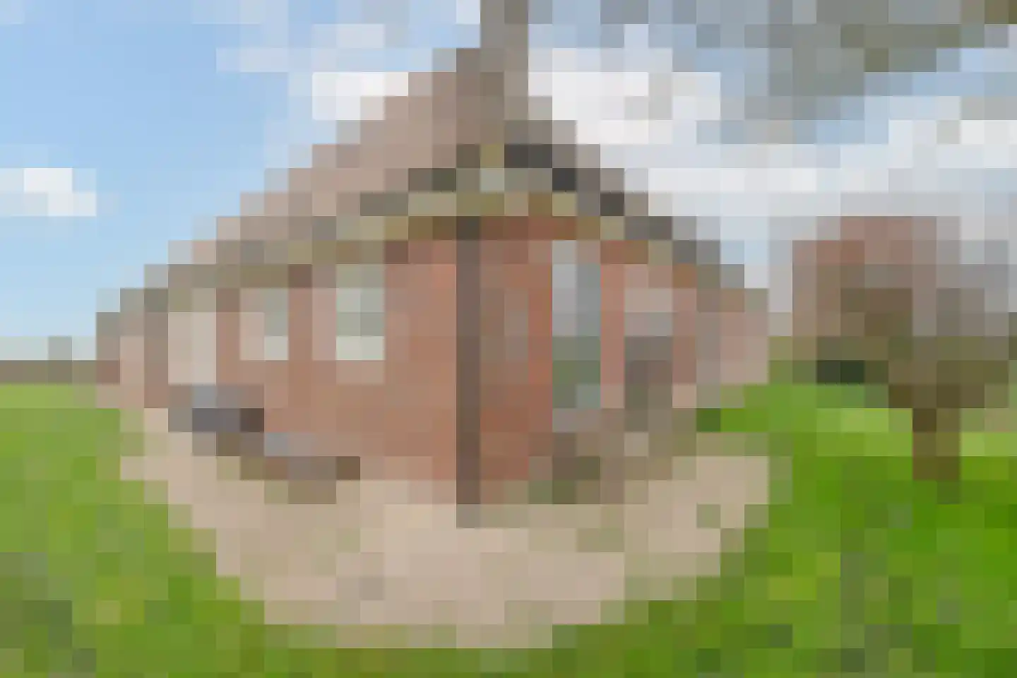Burchtweg 7 Sint Maarten thumbnail 73