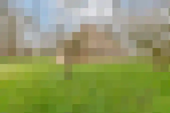 Burchtweg 7 Sint Maarten thumbnail 75
