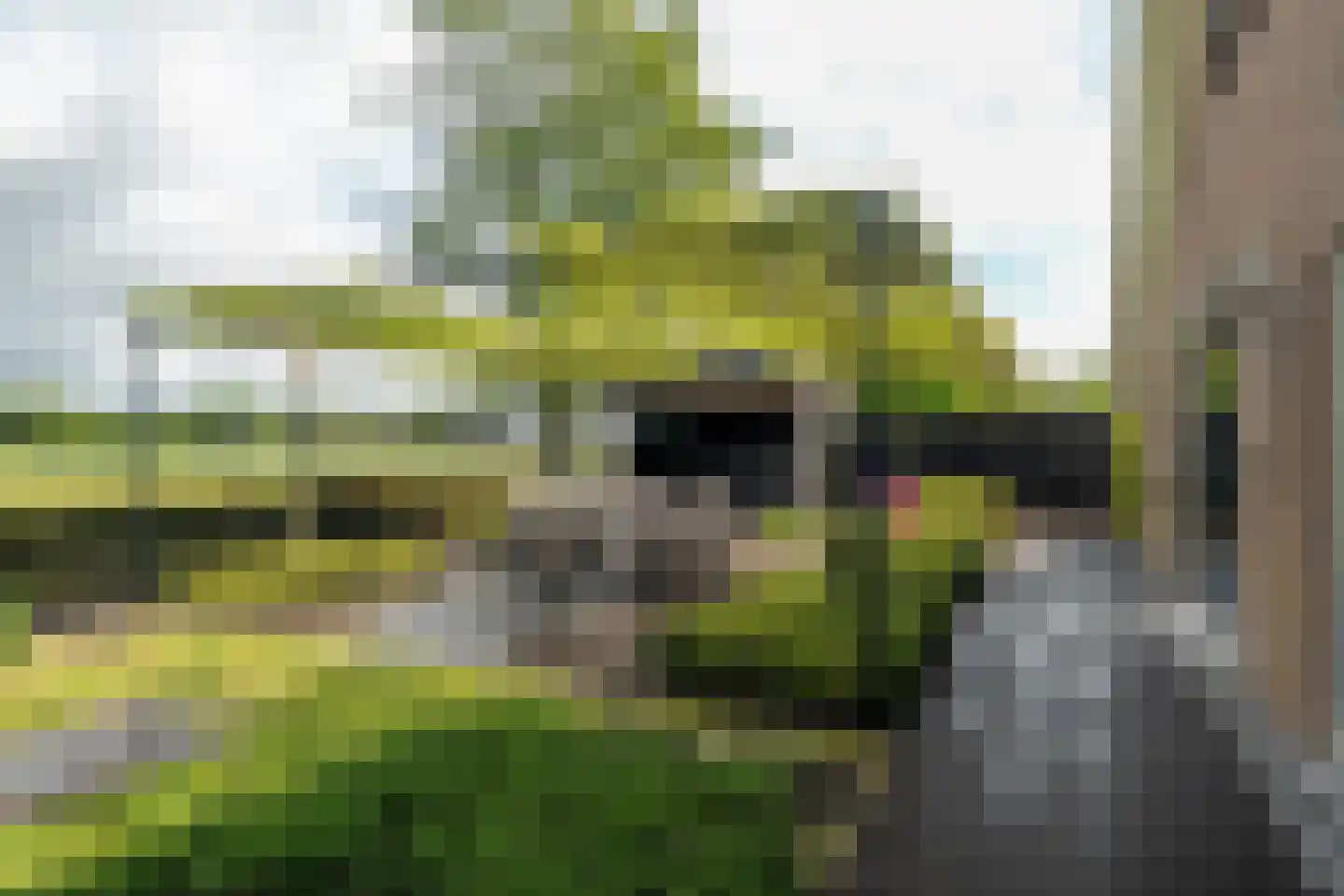 Burchtweg 8 Bunne thumbnail 102