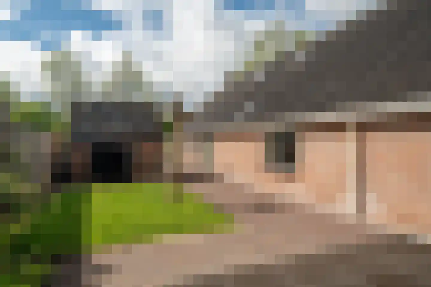 Burchtweg 8 Bunne thumbnail 106