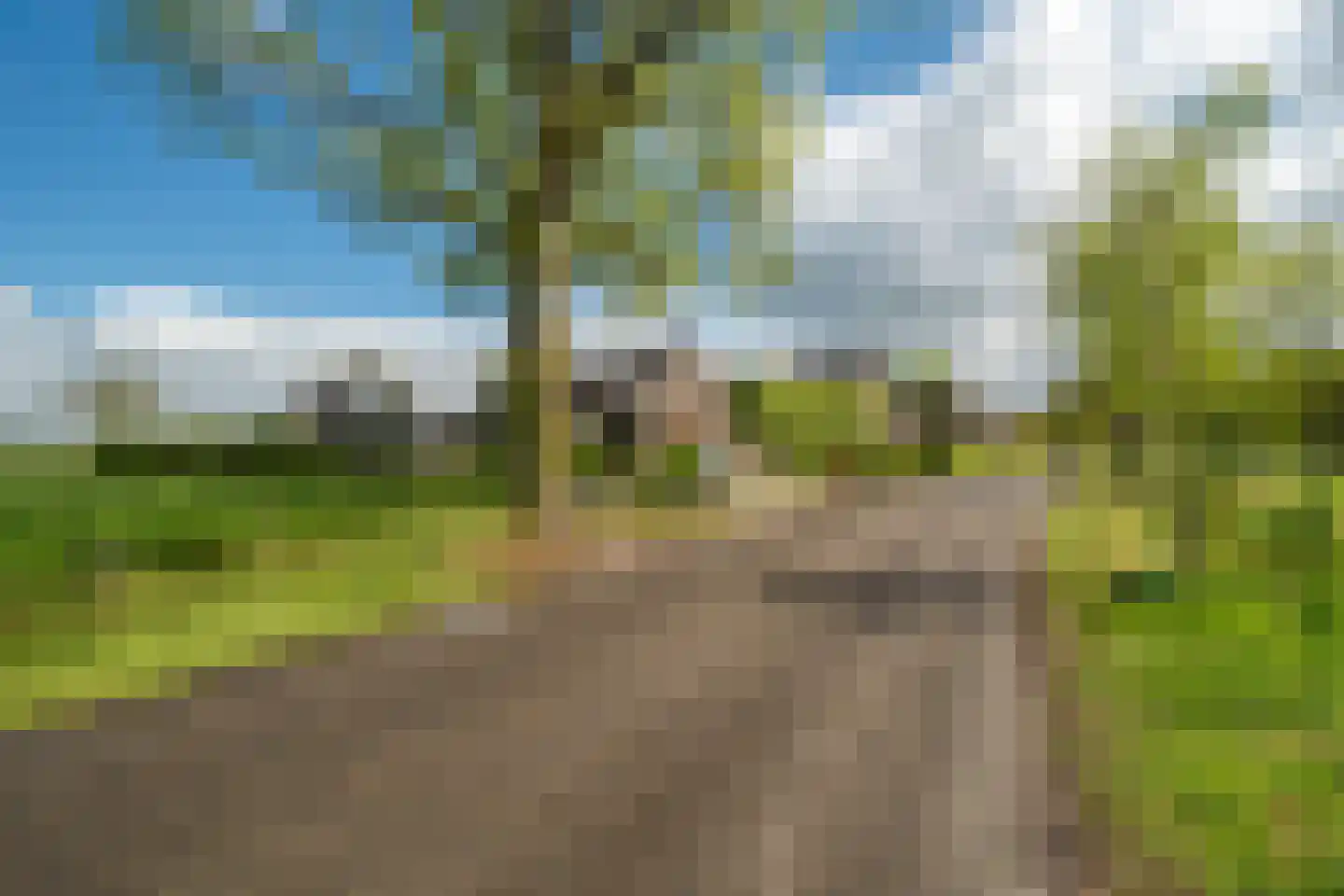 Burchtweg 8 Bunne thumbnail 110