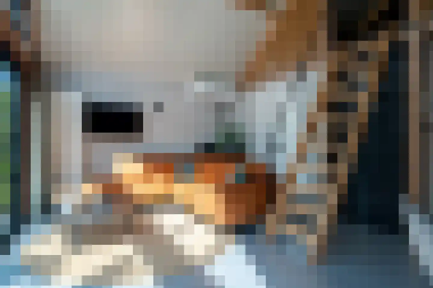 Burchtweg 8 Bunne thumbnail 117