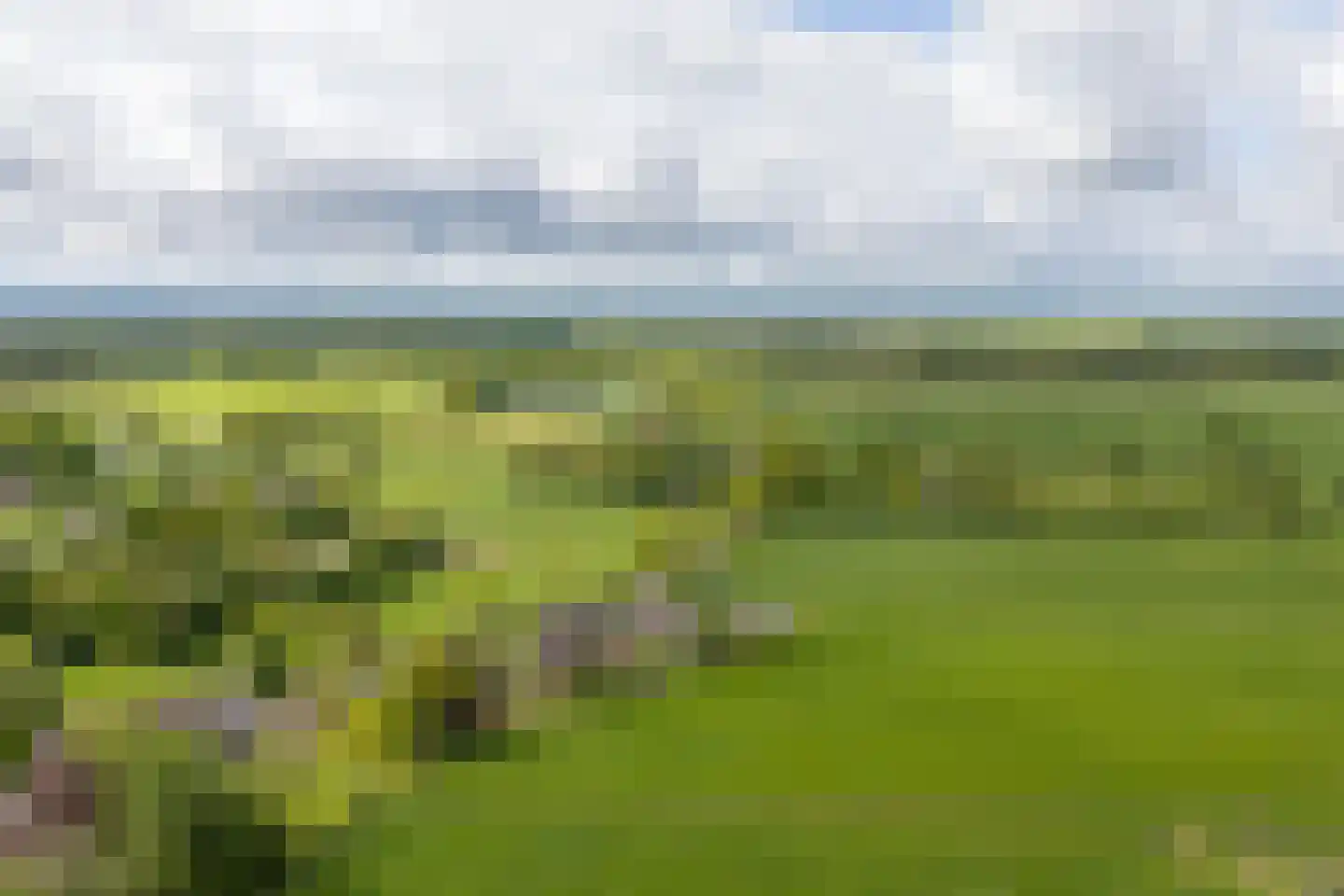 Burchtweg 8 Bunne thumbnail 129