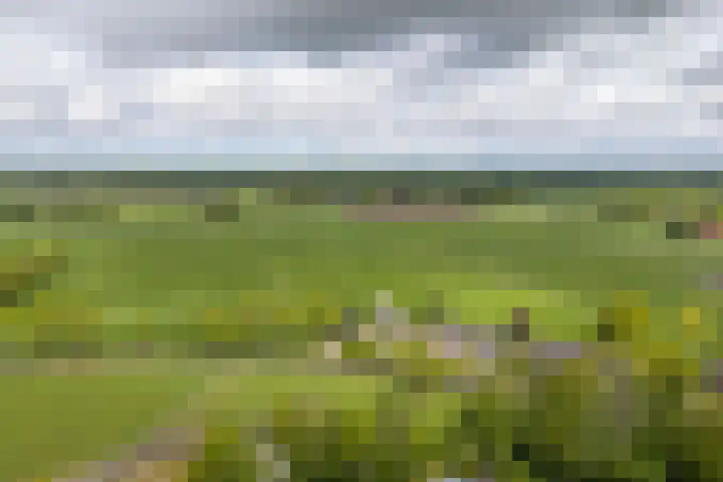 Burchtweg 8 Bunne thumbnail 130