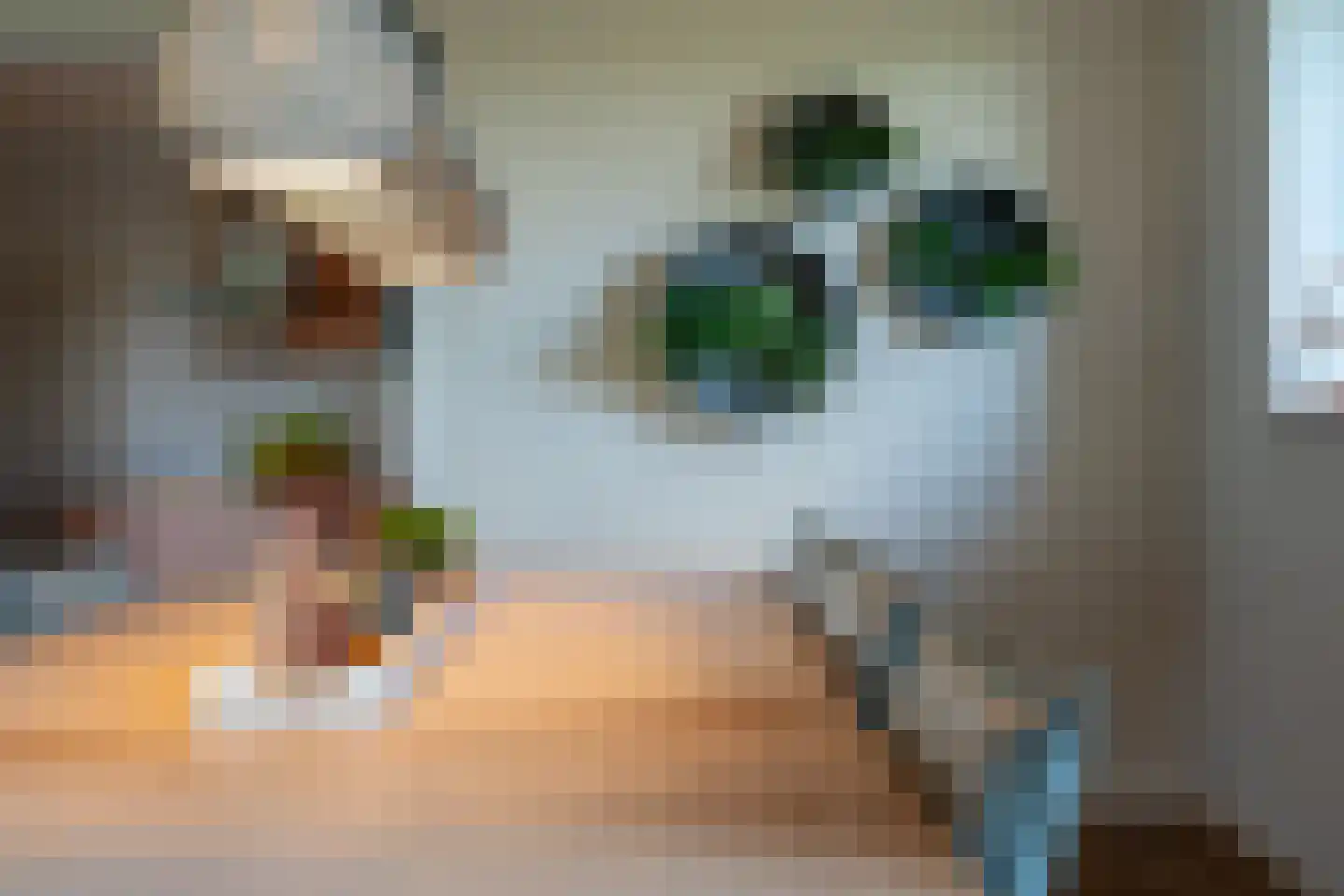 Burchtweg 8 Bunne thumbnail 18