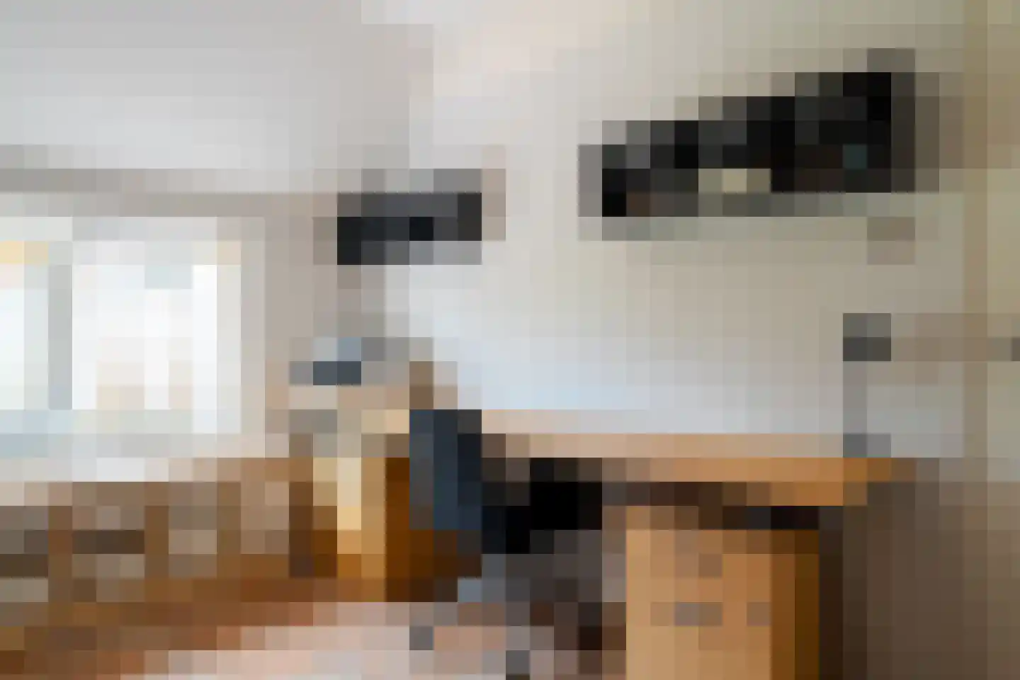 Burchtweg 8 Bunne thumbnail 54