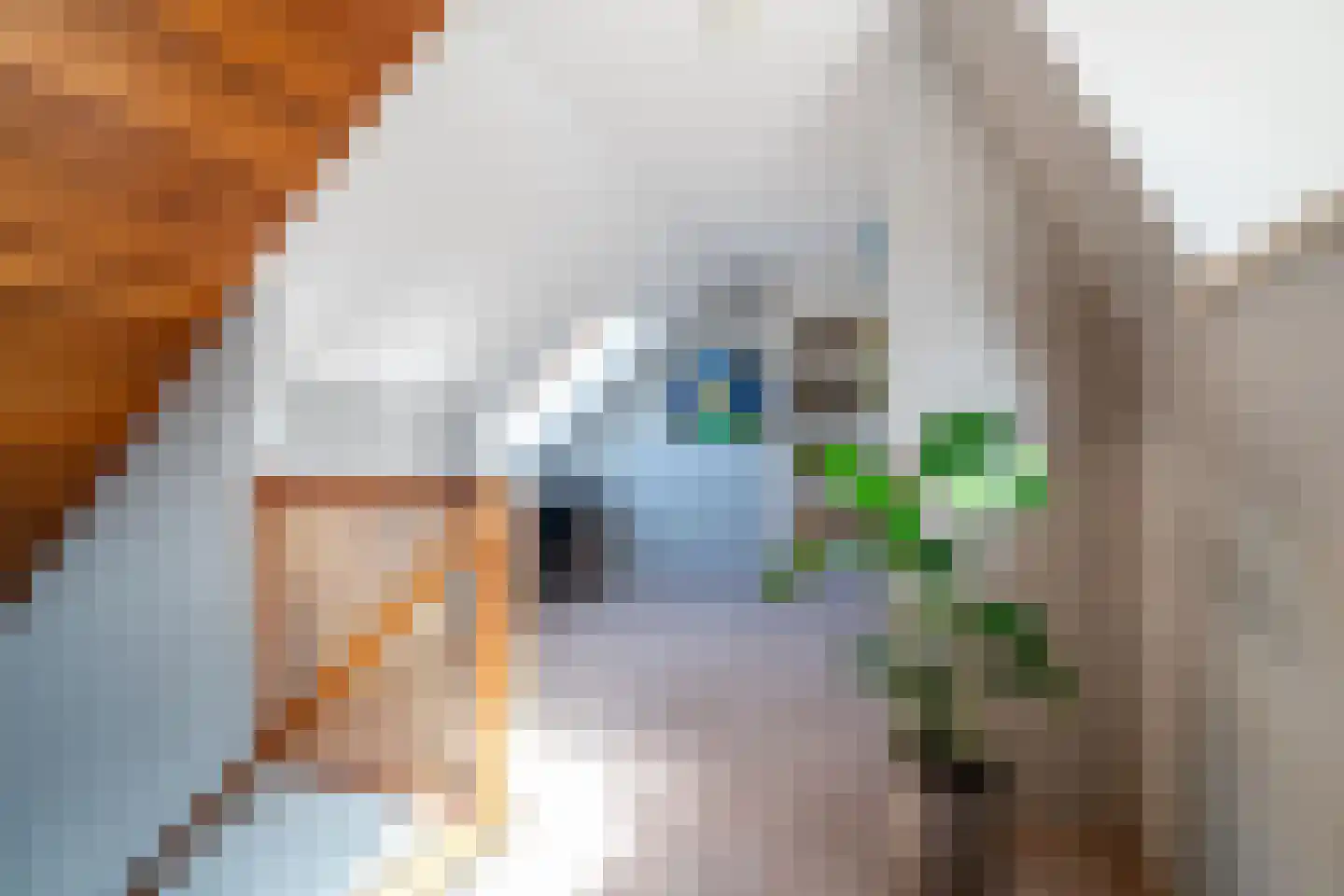 Burchtweg 8 Bunne thumbnail 59