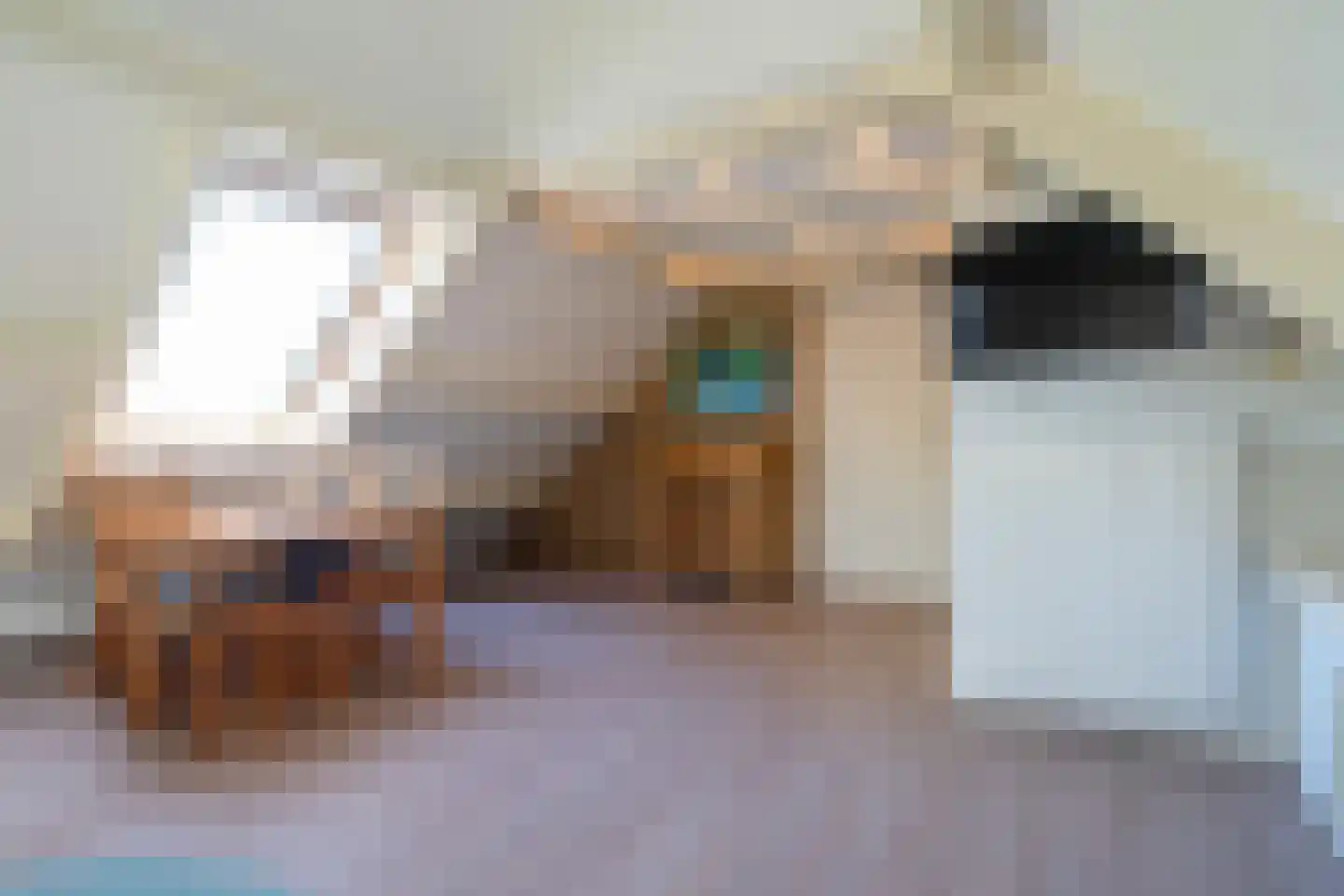 Burchtweg 8 Bunne thumbnail 62