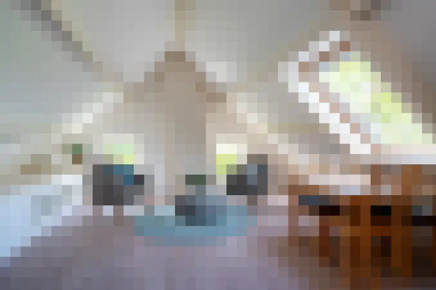 Burchtweg 8 Bunne thumbnail 64