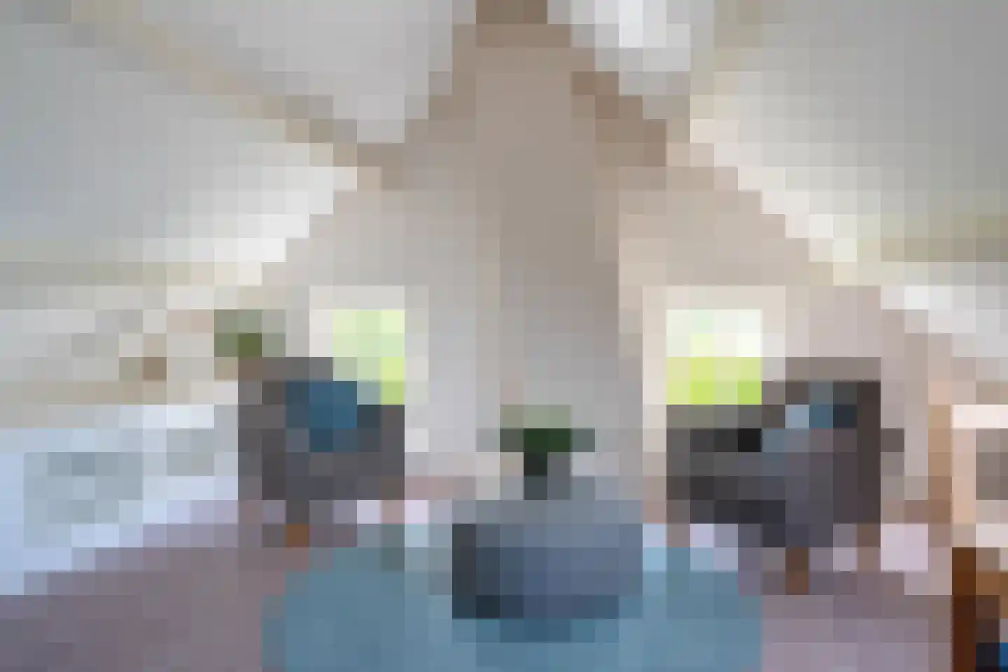 Burchtweg 8 Bunne thumbnail 65