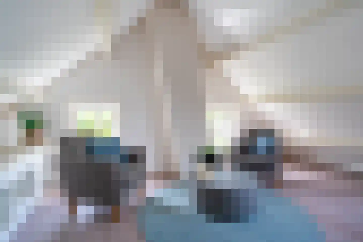 Burchtweg 8 Bunne thumbnail 66
