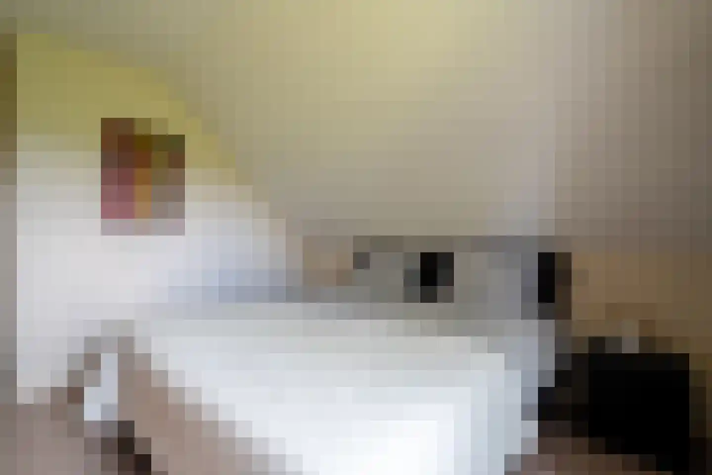 Burchtweg 8 Bunne thumbnail 71