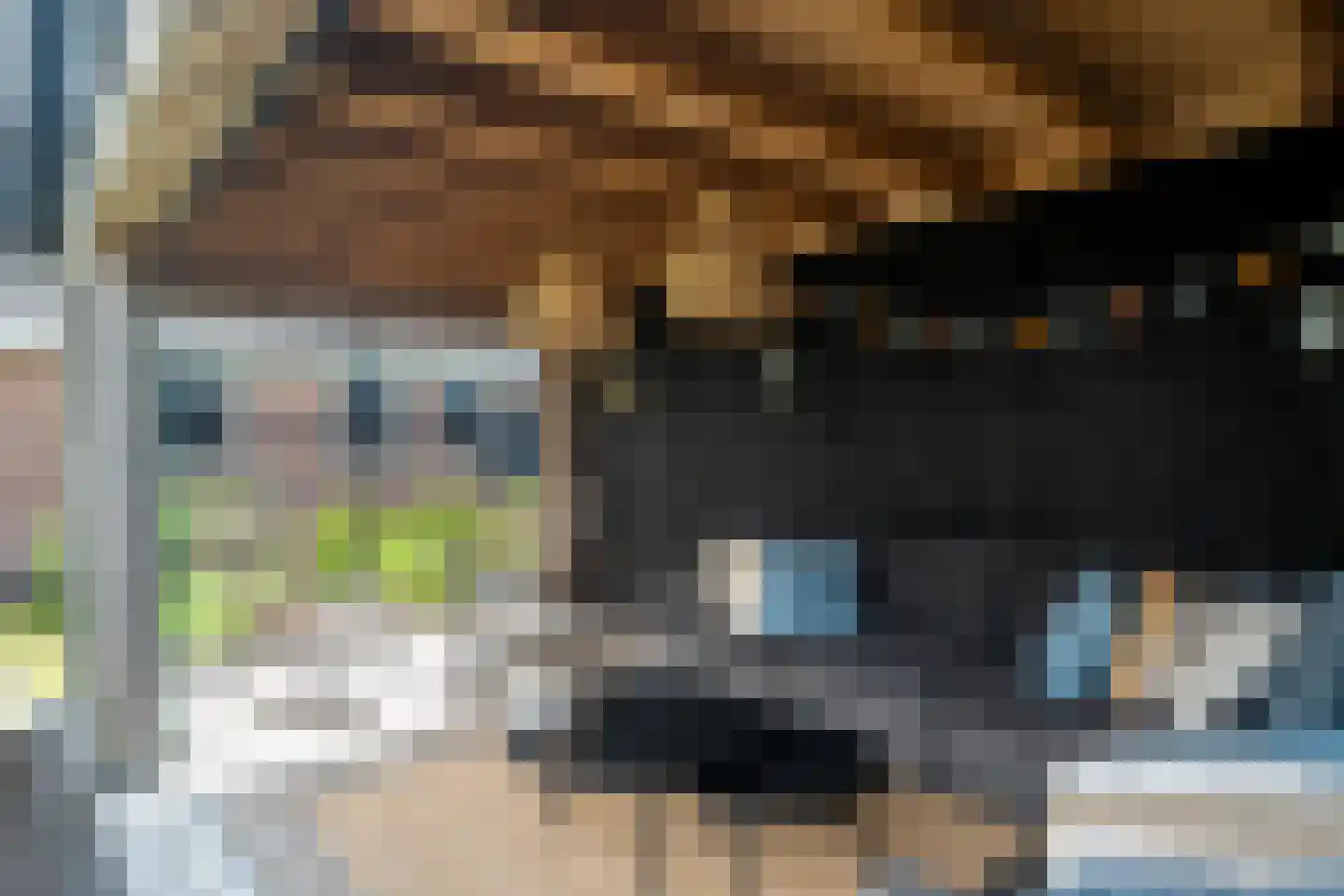 Burchtweg 8 Bunne thumbnail 83