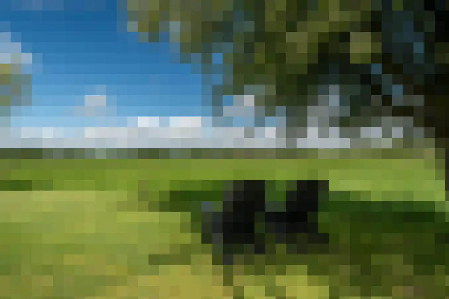 Burchtweg 8 Bunne thumbnail 95