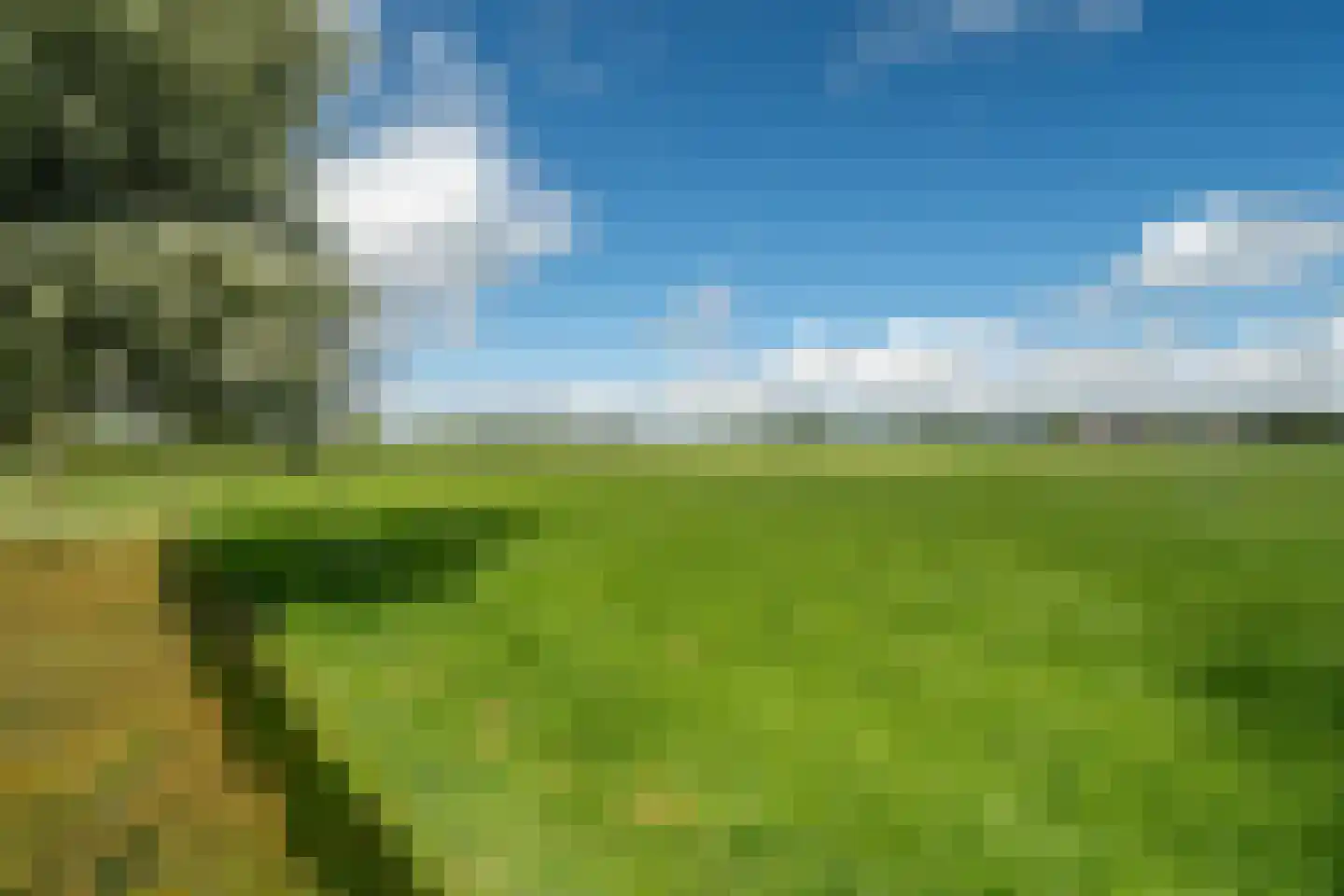 Burchtweg 8 Bunne thumbnail 96