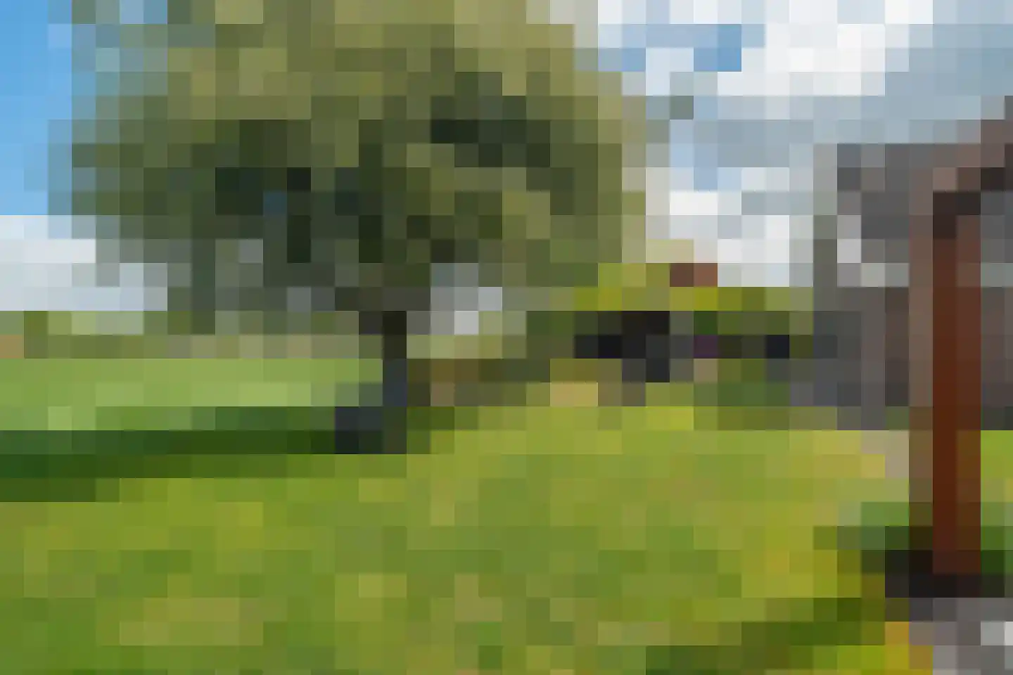 Burchtweg 8 Bunne thumbnail 97