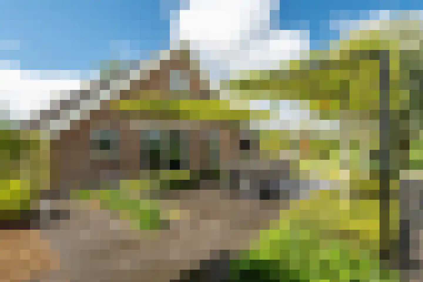 Burchtweg 8 Bunne thumbnail 99