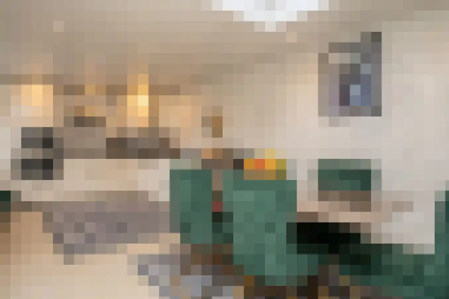Burdetstraat 17 Den Burg thumbnail 11