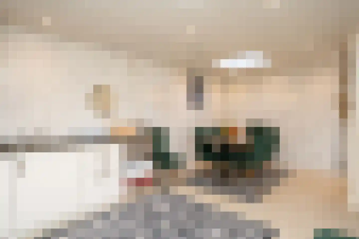 Burdetstraat 17 Den Burg thumbnail 16