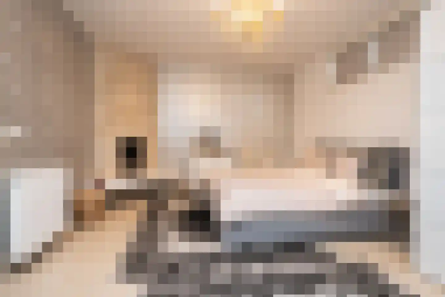 Burdetstraat 17 Den Burg thumbnail 22