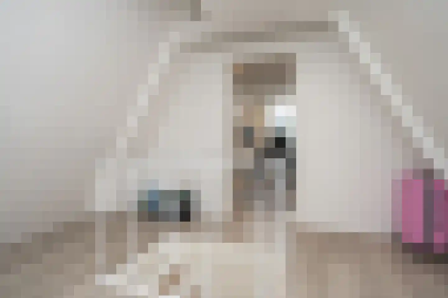 Burdetstraat 17 Den Burg thumbnail 33