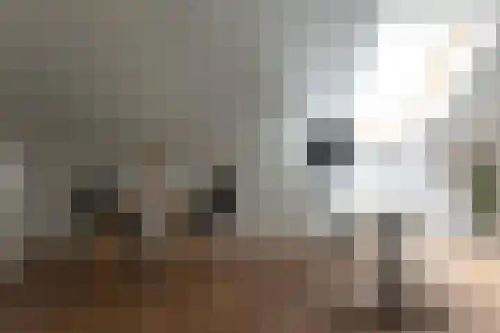 Burefen 212 Drachten thumbnail 36